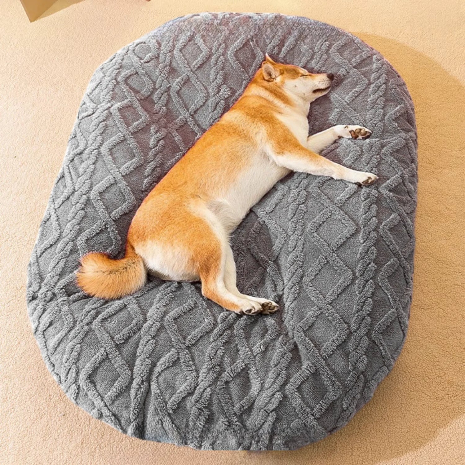 Tapis chien gris posé sur un sol blanc. Le Shiba de couleur brun et blanc dort sur le tapis chien. Image produit Boutiquechien