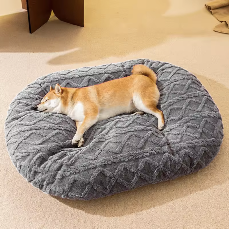 Shiba brun et blanc couché sur son tapis de couleur gris. Le tapis est doux et moelleux. Image produit Boutiquechien