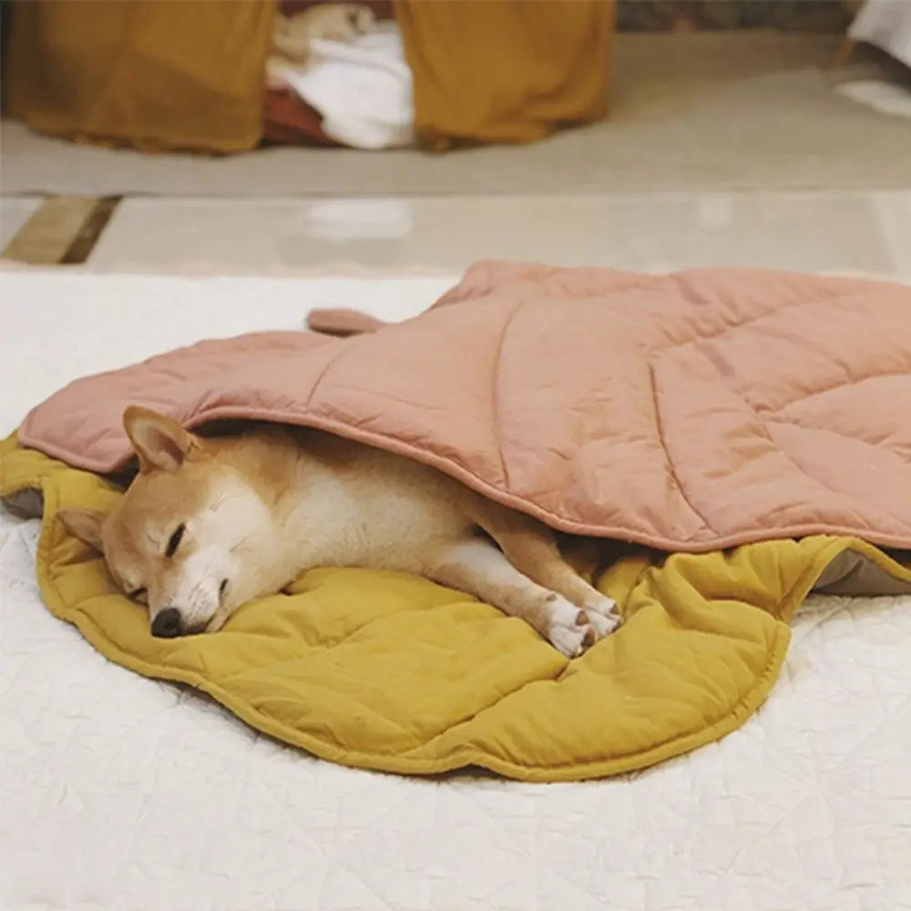 Shiba couché sur un tapis en forme de feuille de couleur moutarde avec sur lui une autre feuille de couleur rouge. Image produit Boutiquechien