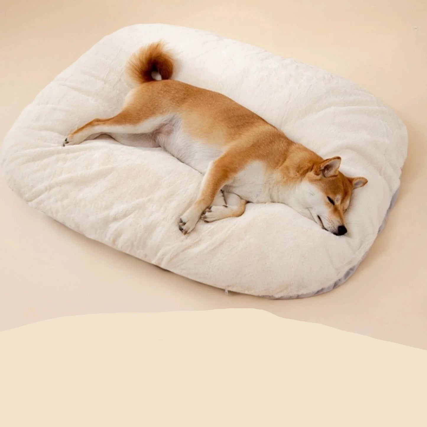 Le panier pour chien de couleur blanc crème avec un shiba blanc et brun dormant dessus. Image produit de boutiquechien