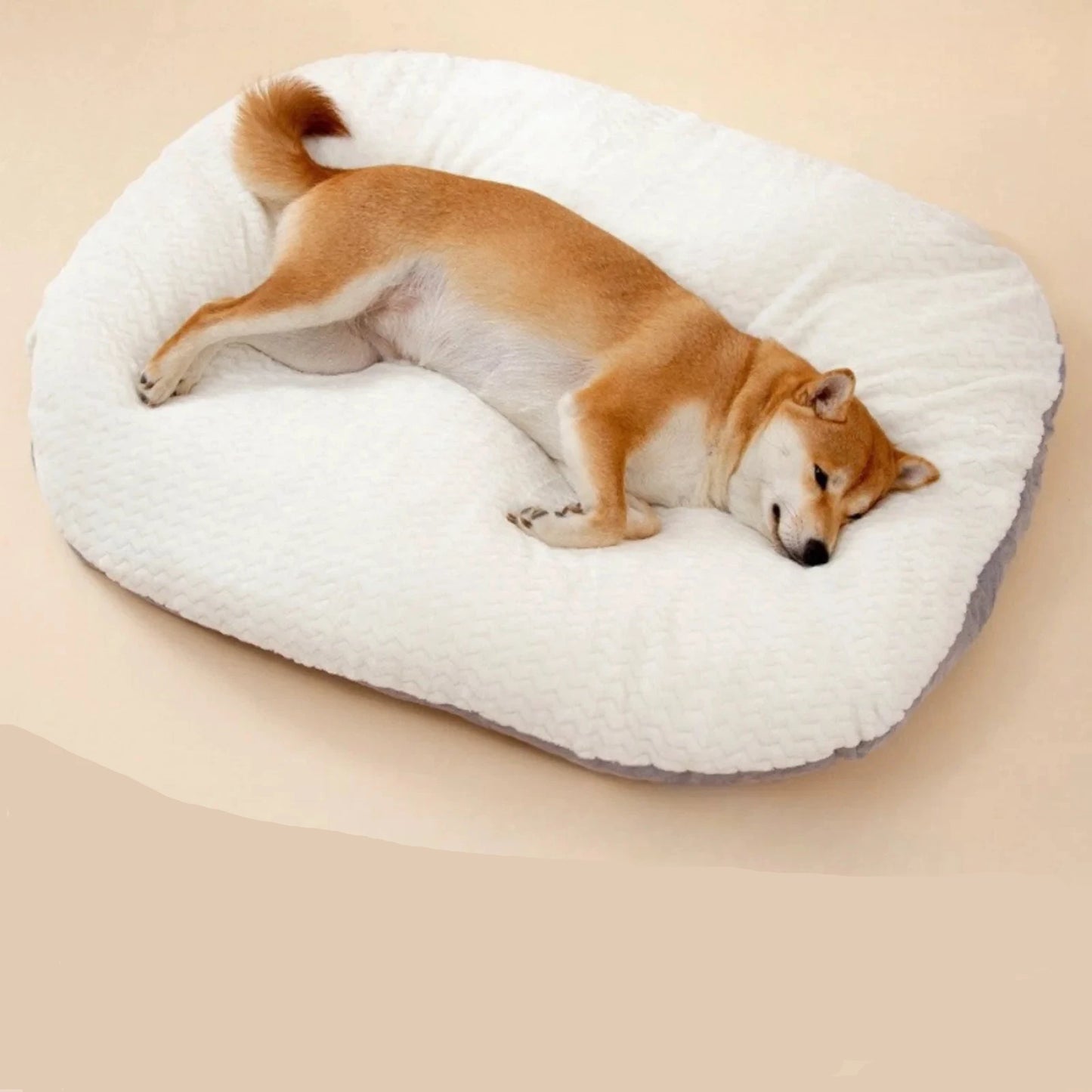 shiba couché sur son panier pour chien de couleur gris. Image produit de boutiquechien