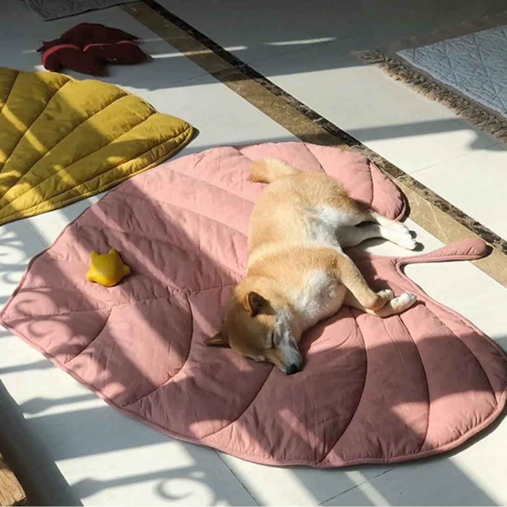Shiba couché sur un tapis en forme de feuille de couleur rose. Le chien dort sur le tapis dans un lieu design. Image produit Boutiquechien
