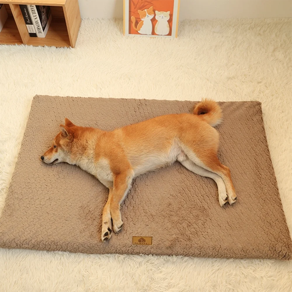 Shiba brun couché sur un grand tapis brun sur un tapis blanc. Le shiba est couché sur son tapis avec en fond un tableau de chat et une commode en bois. Image produit Boutiquechien
