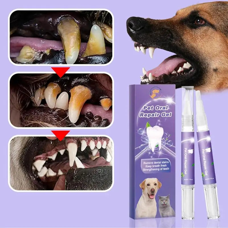 soins dentaire pour chien de couleur blanc avec un début de tartre. Image produit Boutiquechien