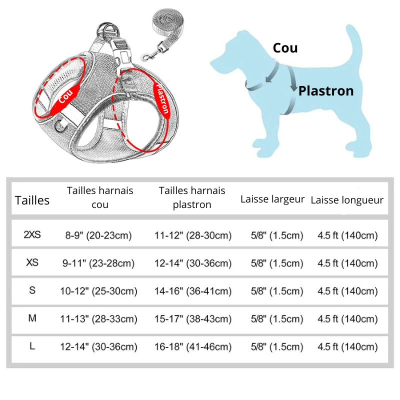 Tailles total du harnais pour chiot et petit chien. Tableau de dimension pour les petits chiens. Image produit Boutiquechien