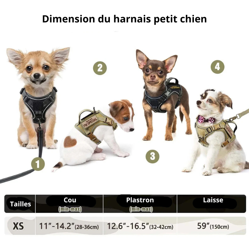 Tailles total du harnais pour petit chien et chiot de boutiquechien