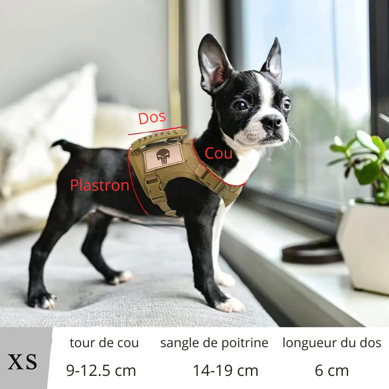 dimension total du harnais pour chien et petit chien. Le harnais chiot est de style militaire. Image produit Boutiquechien