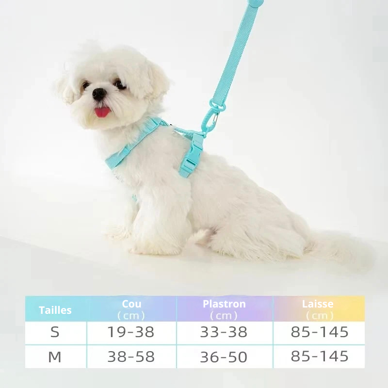 Petit harnais pour chien avec toutes les dimensions du harnais chien. Image produit Boutiquechien