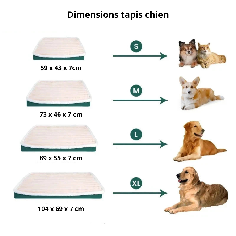 Tailles du tapis chien de S à XL avec toutes les dimensions pour chaque tailles. Image produit Boutiquechien