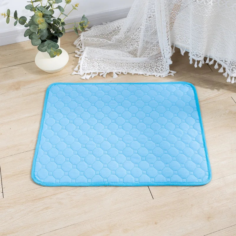 Tapis chien de couleur bleu posé sur un sol de couleur claire. Le tapis chien absorbant est parfait pour les chiens. Le tapis est posé près d'une nappe blanche et d'une plante verte. Image produit Boutiuqechien