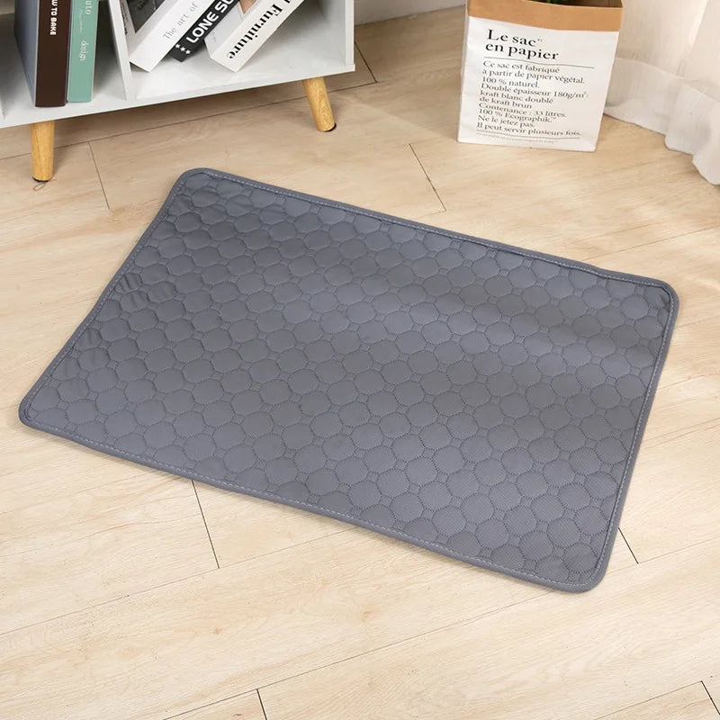 Tapis chien de couleur gris posé sur un sol de couleur claire. Le tapis chien absorbant est parfait pour les chiens. Le tapis est posé près d'une nappe blanche et d'une plante verte. Image produit Boutiuqechien