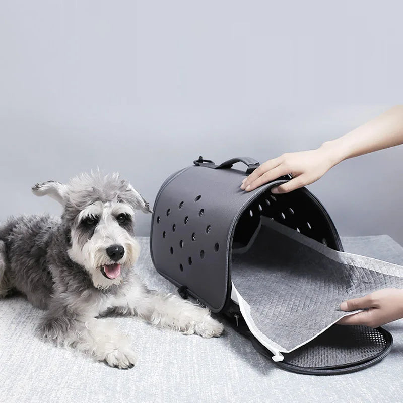 Tapis chien de protection de couleur noir avec tapis de protection noir. Un chien blanc et noir est assis à côté de la cage de transport noir. Image produit Boutiquechien