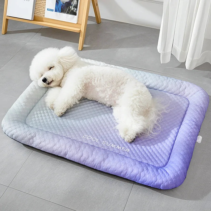 petit chien blanc couché sur son tapis rafraîchissant bi Color dans un salon de couleur claire. Image produit Boutiquechien