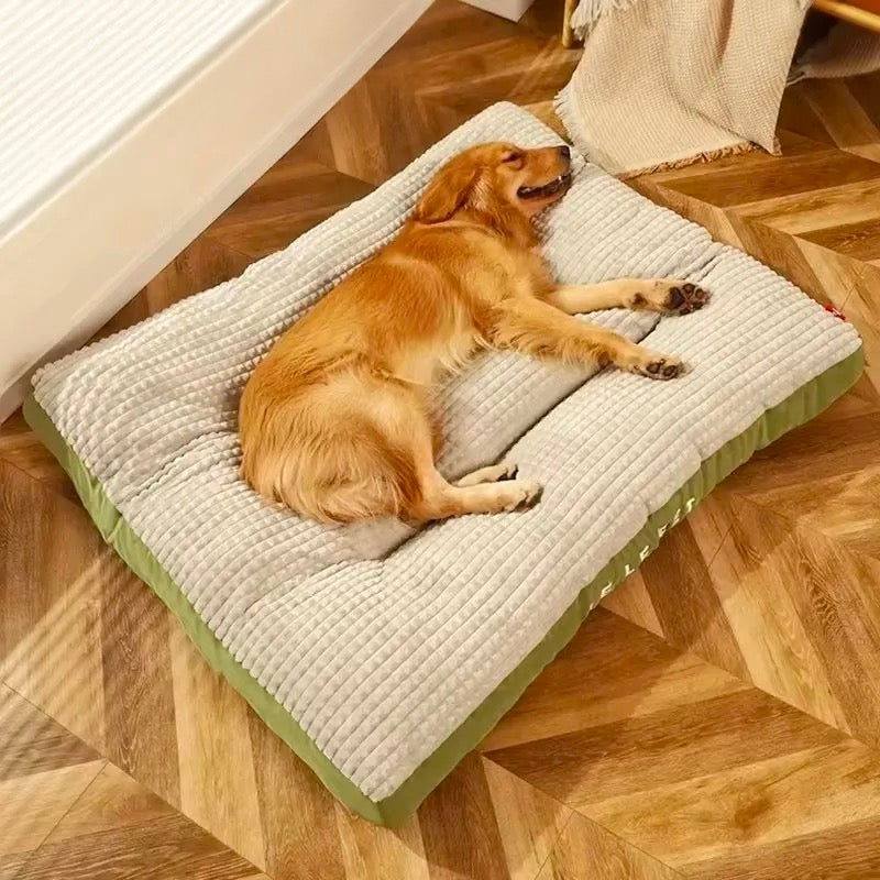 Golden retriever de couleur brun couché sur un tapis chien doux et moelleux de couleur vert. Image produit Boutiquechien