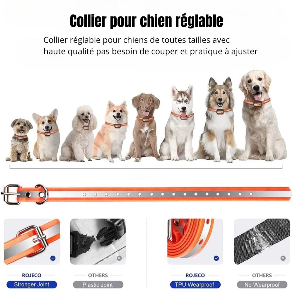 Collier chien d'éducation de couleur orange réglable. Image produit de Boutiquechien