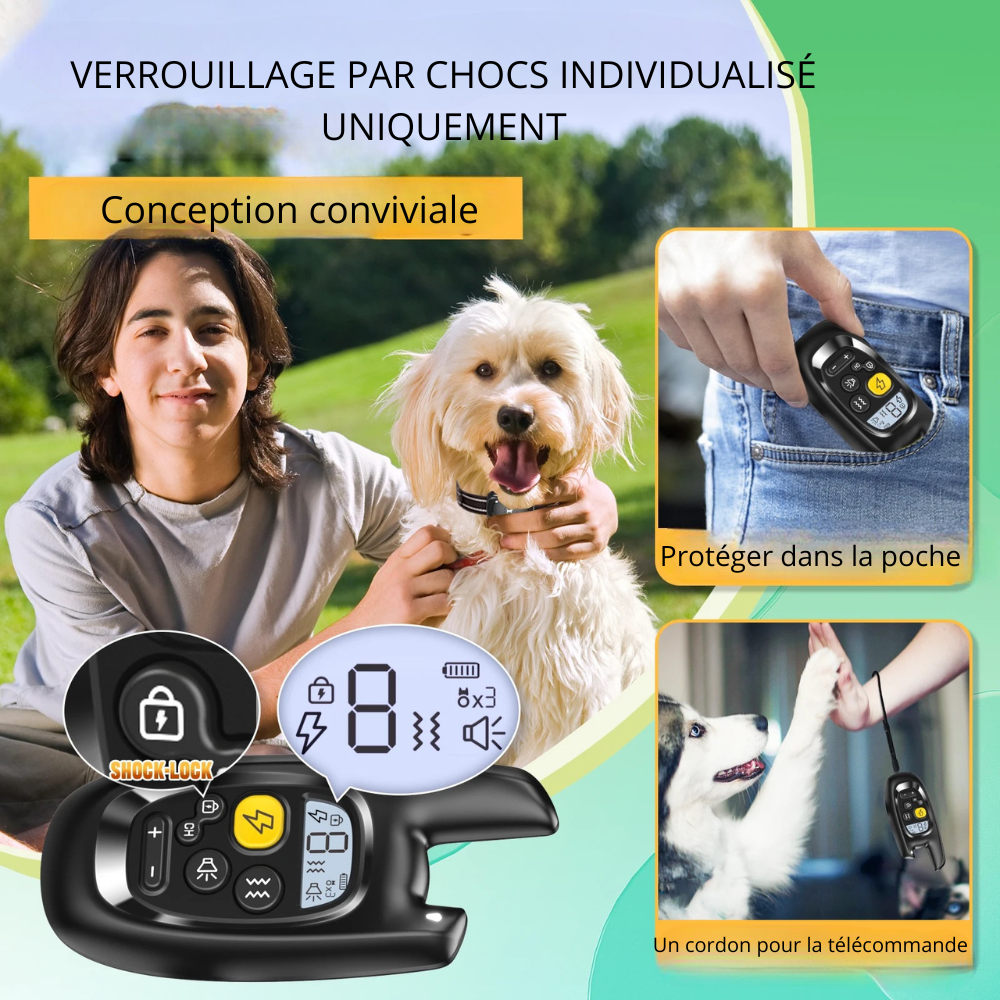 utilisation facile du collier chien de dressage grâce à sa télécommande ergonomique. Image produit Boutiquechien