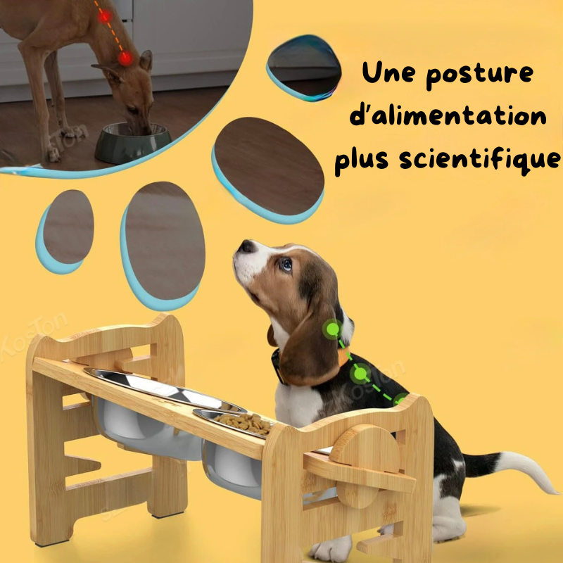posture d'alimentation précise pour les chiens sur un super bois réglable. Image produit Boutiquechien
