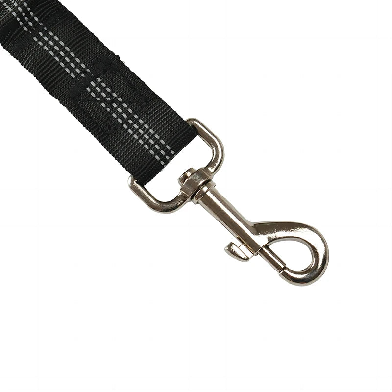 attache pour chien de couleur métal avec laisse noir. Image produit Boutiquechien