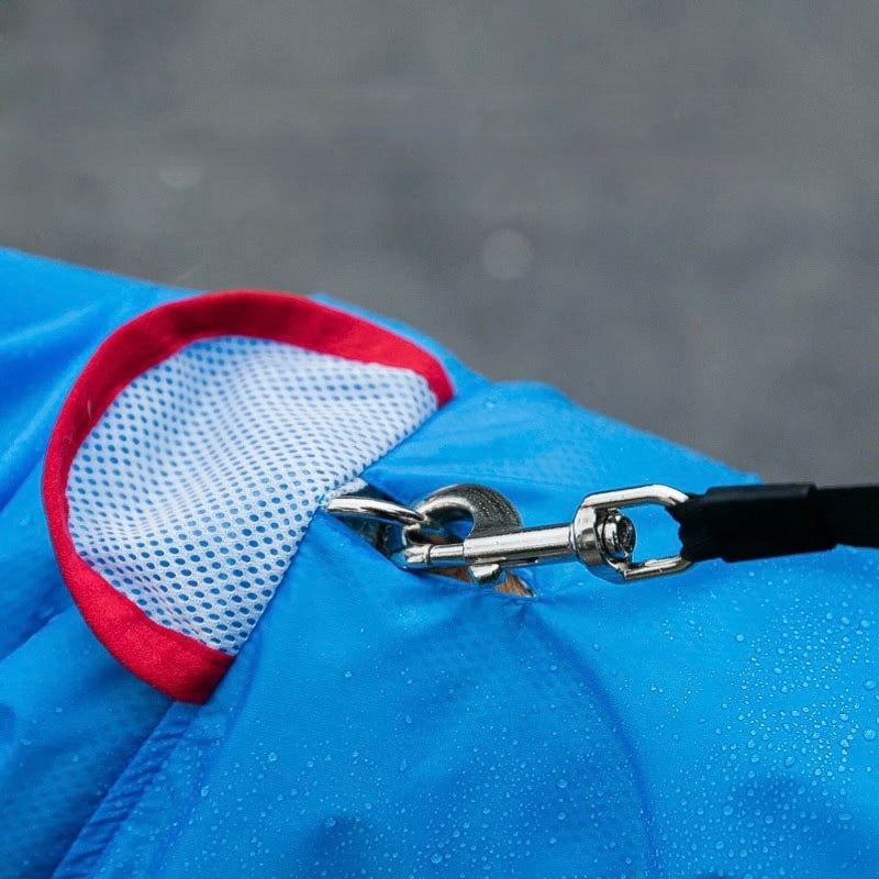 attache sur un imperméable bleu pour chien de boutiquechien