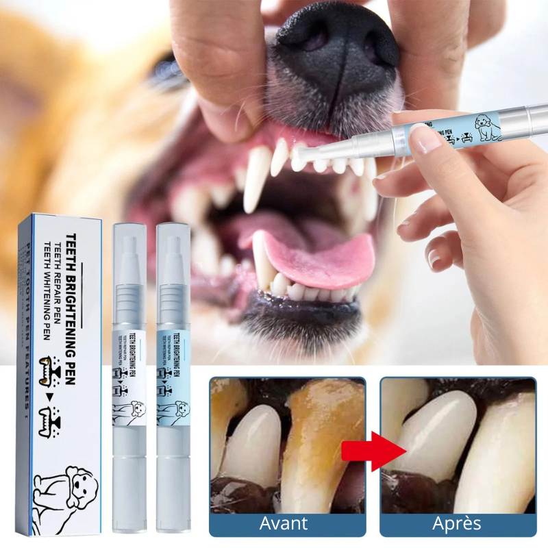 avant et après utilisation du produit pour dents de boutiquechien