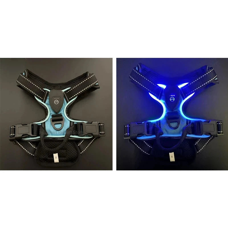 harnais chien bleu ciel de couleur noir et bleu