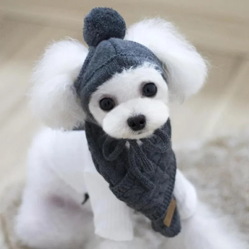 Bonnet avec une écharpe de couleur gris sur un petit chine de couleur blanc. Image produit Boutiquechien