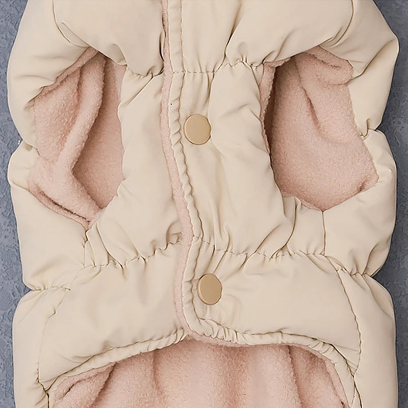 bouton de pression de la veste claire pour chihuahua posé sur le dos. Image produit boutiquechien
