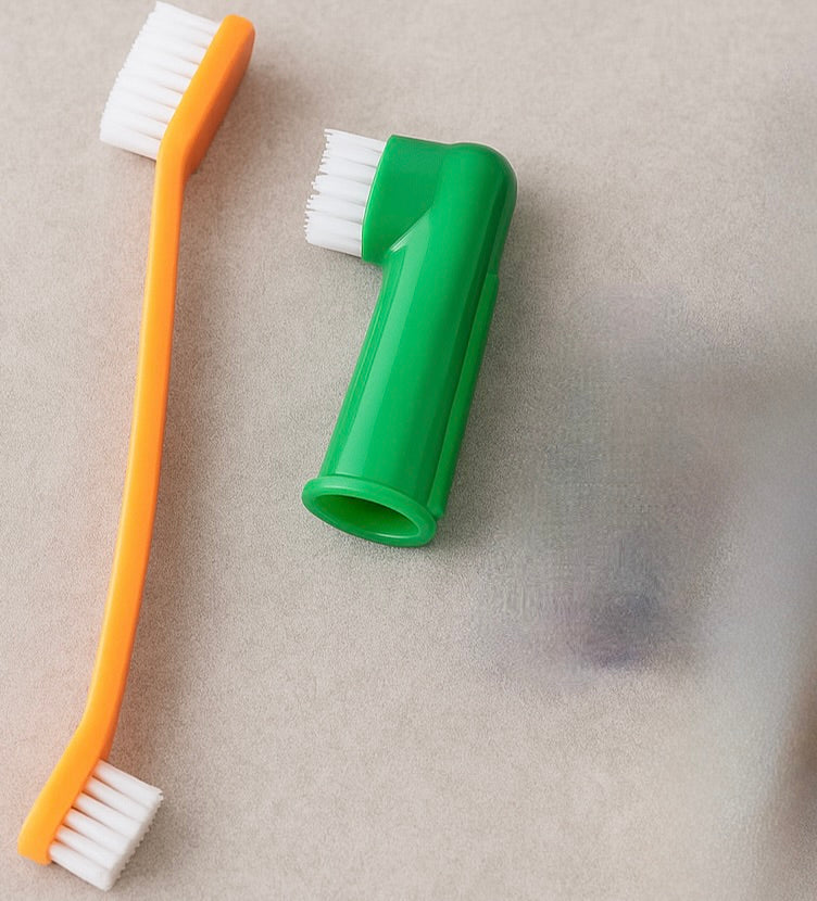 brosses à dent pour chien de couleur orange et vert. Image produit Boutiquechien