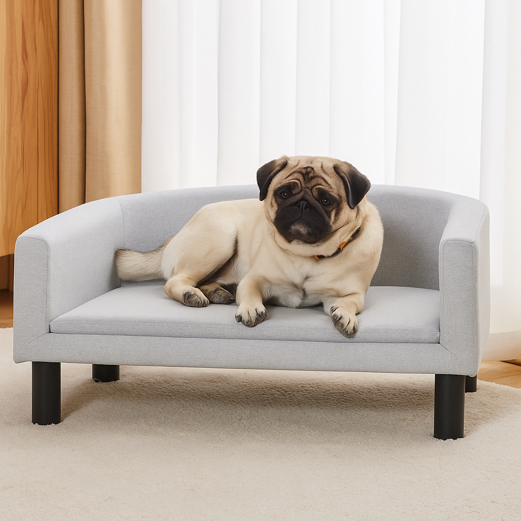 buldog chien de couleur blanc couché sur un canapé de couleur gris. Image produit Boutiquechien