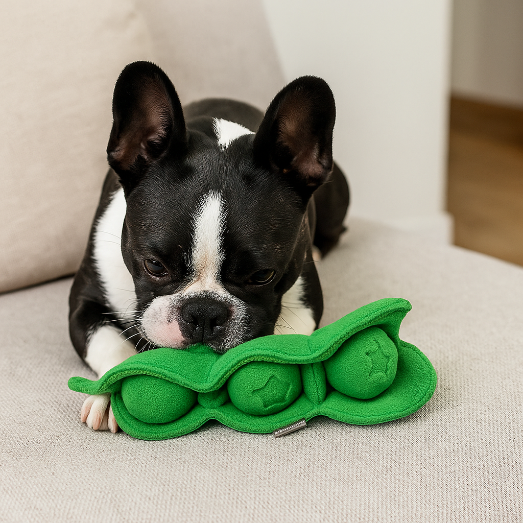 Buldog noir et blanc jouant avec son tapis de fouille en forme d'haricot pour chien sur un canapé gris. Image produit Boutiquechien