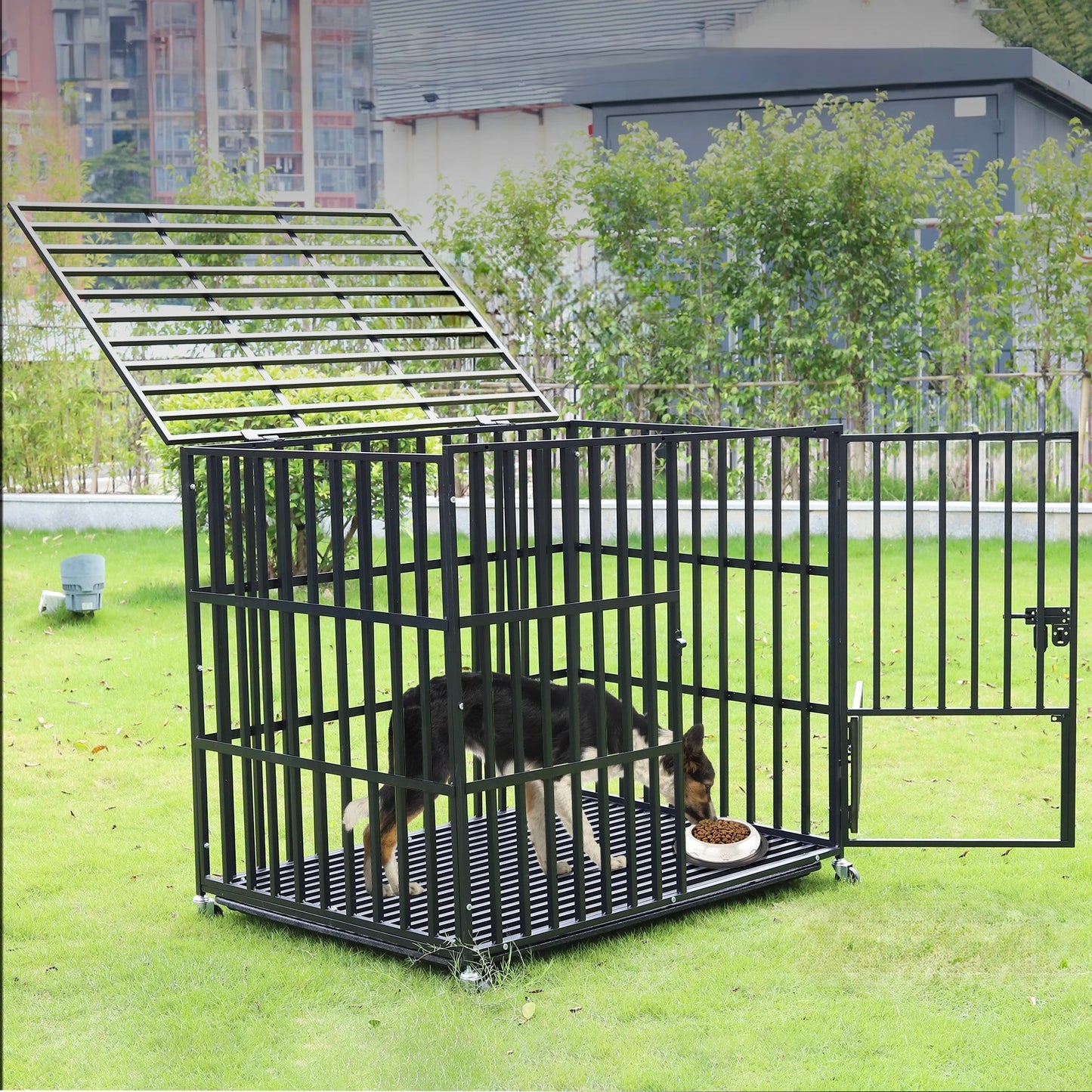 cage pour chien noir multi fonction avec un chien dedans qui mange des croquettes. En fond il y a des immeubles. Image produit Boutiquechien