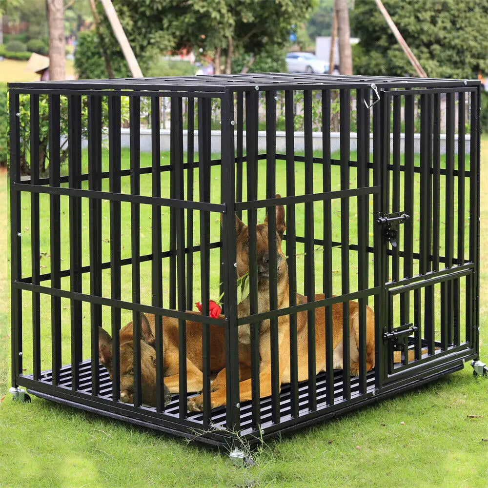 Grande cage de couleur noir avec deux bergers allemand dans la cage noir. La cage est posé dans l'herbe verte avec en fond des arbres. Image produit Boutiquechien