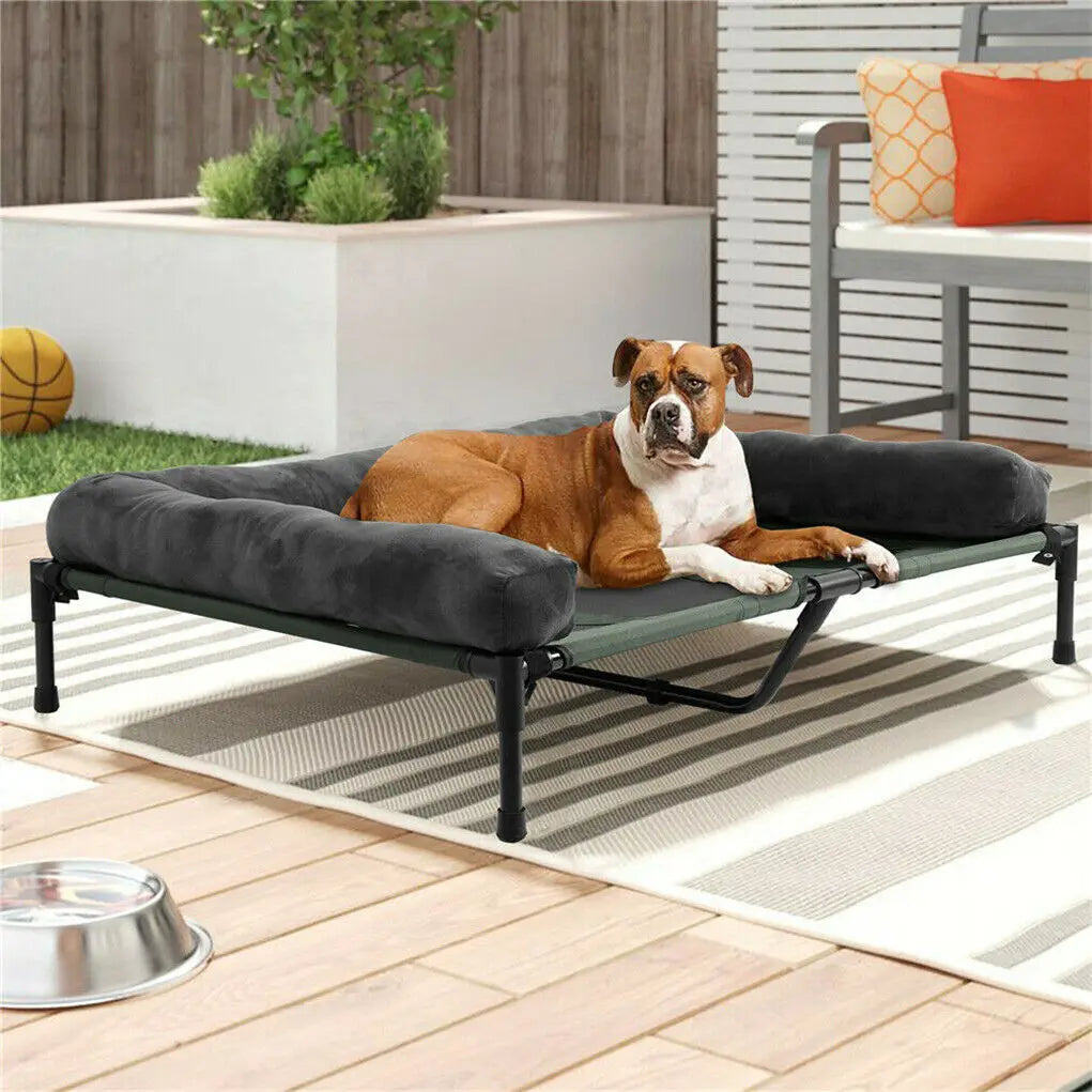 canapé chien noir surélevé respirant et lavable avec un chien brun et blanc couché dessus. Image produit Boutiquechien