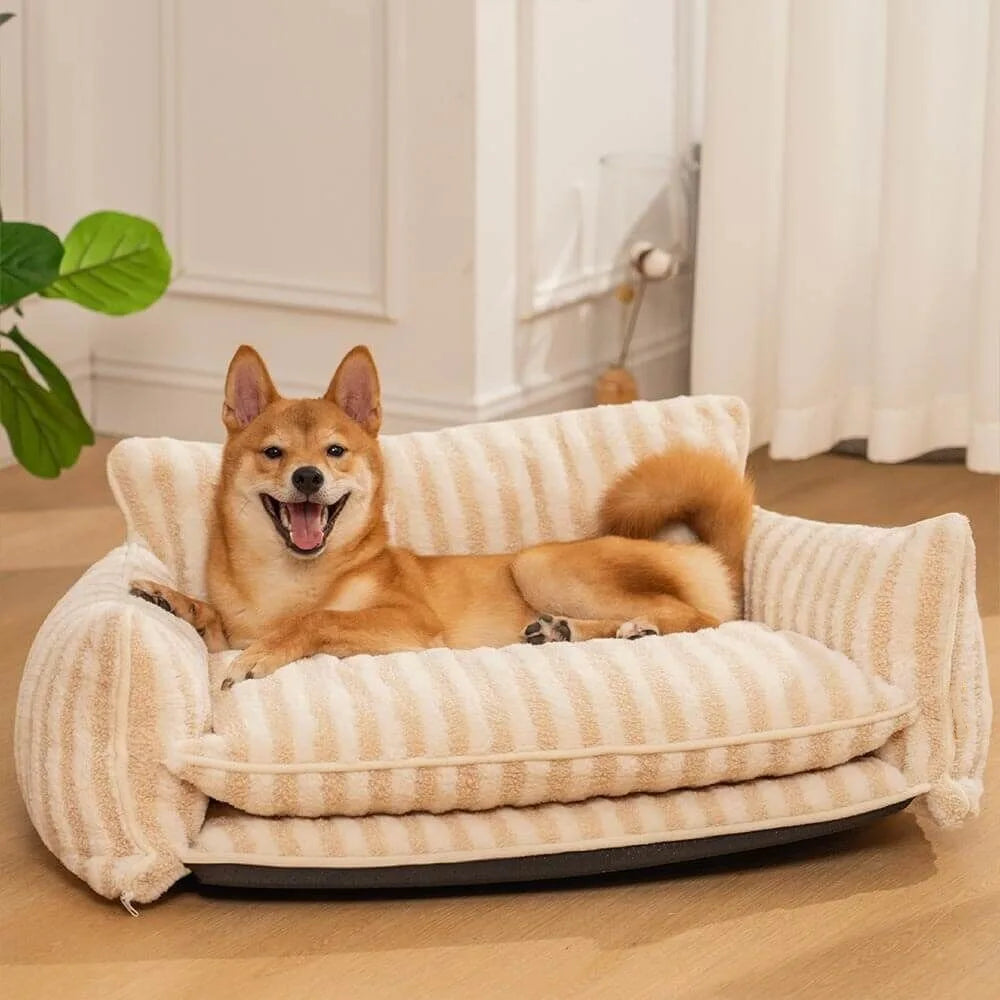 shiba sur un canapé de couleur blanc et beige pour chien avec en fond une plante verte et un canapé beige. Image produit Boutiquechien