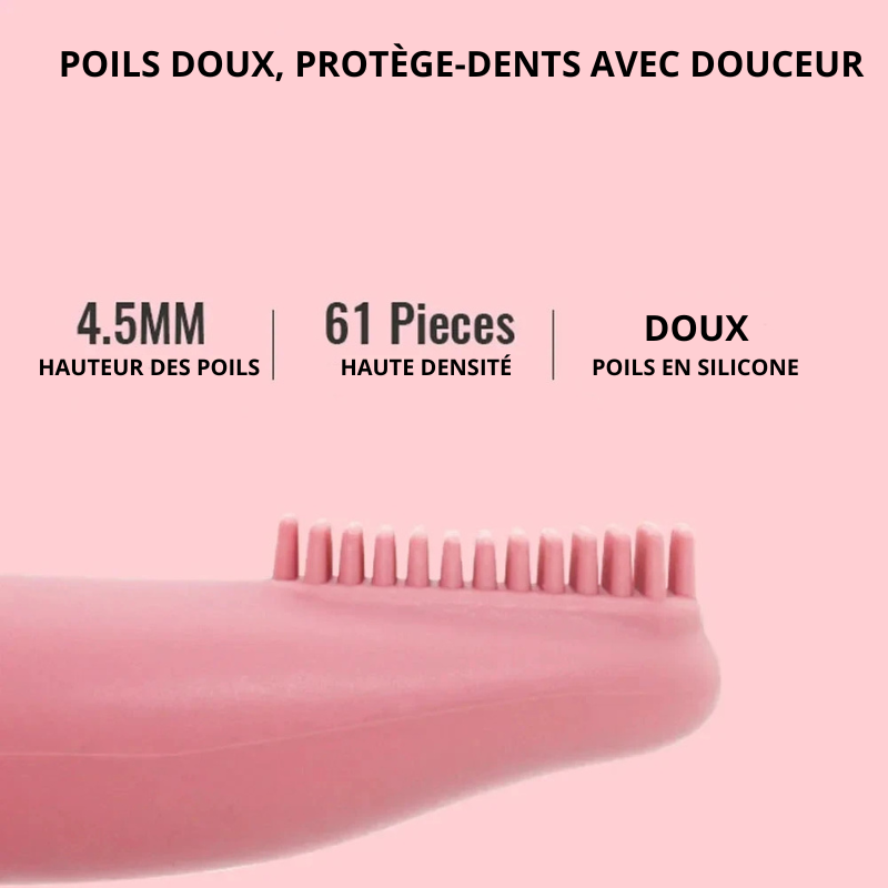 toutes les caractéristiques du produit pour chien en caoutchouc de couleur rose. Image produit Boutiquechien