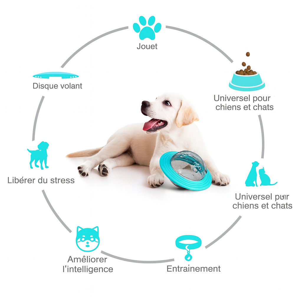 Totalité des avantage du disque à friandise pour chien de boutiquechien