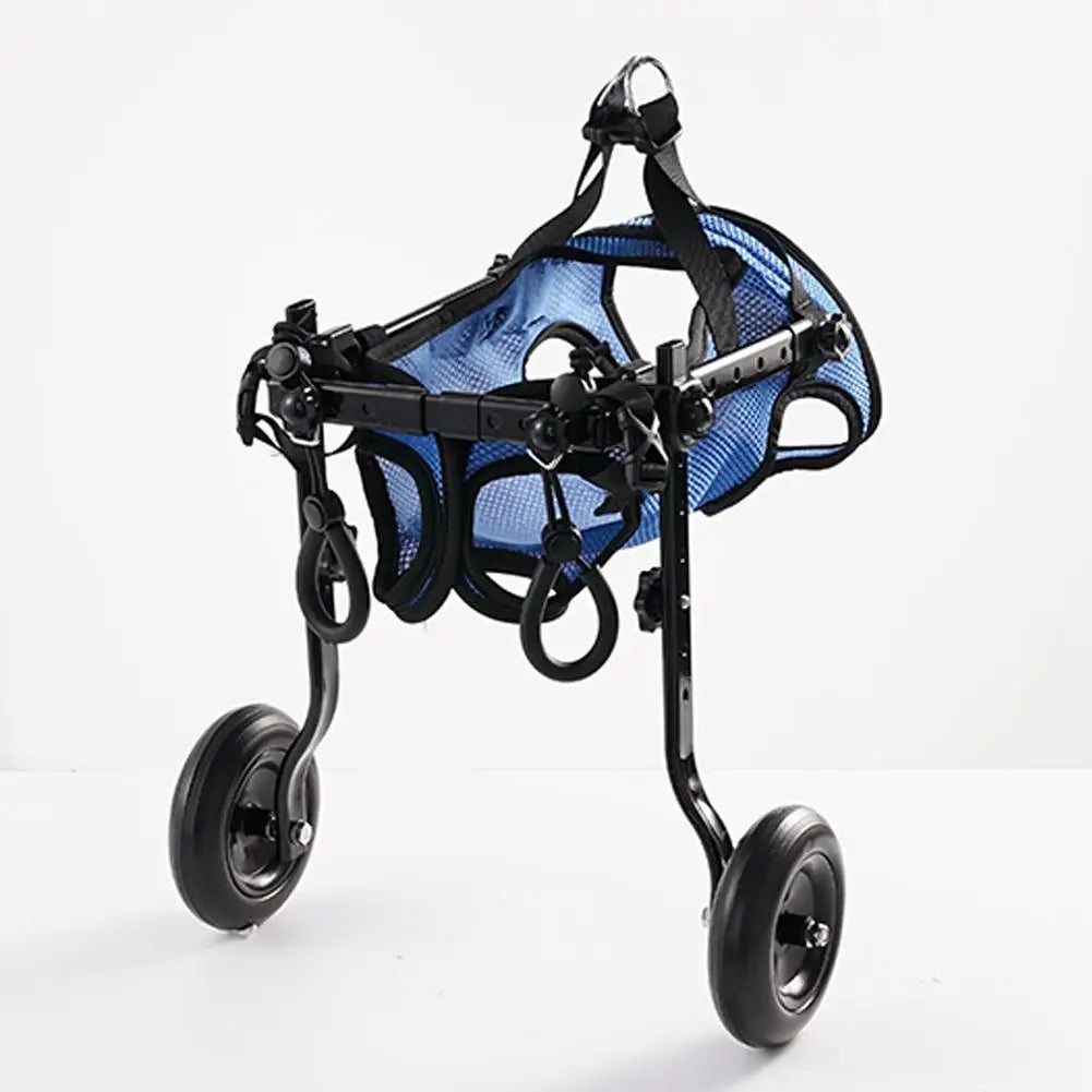 Chariot de maintien pour petit chien de couleur bleu et noir. Image produit Boutiquechien