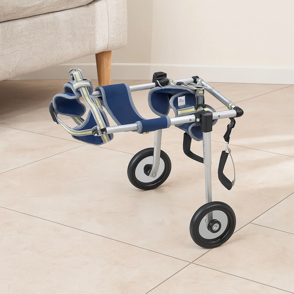Chariot de marche pour chien handicapé de couleur bleu et gris dans une salon de couleur blanc avec un canapé. Image produit Boutiquechien