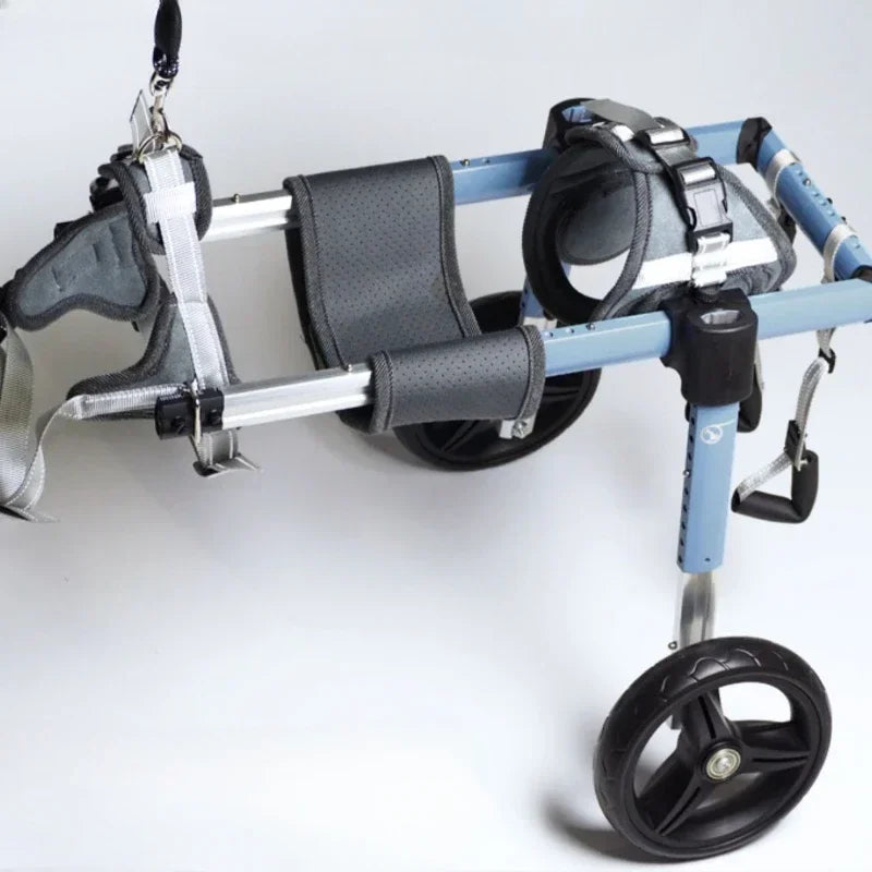 Chariot pour chien de couleur bleu et noir pour les chiens handicapé. Image produit Boutiquechien