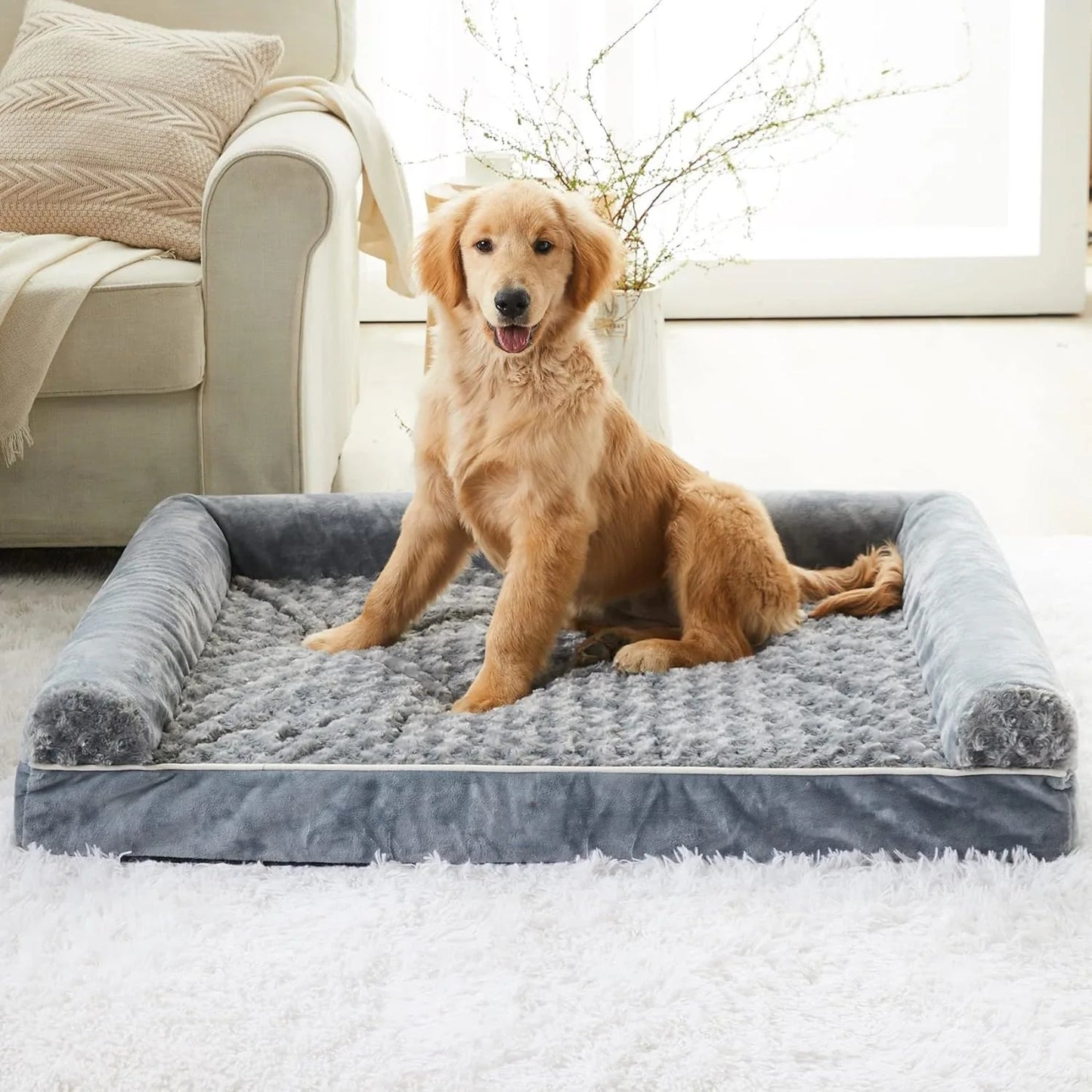 petit chiot roux assis sur son panier multi-saison gris dans un salon de couleurs blanc avec un tapis au sol blanc, un canapé blanc et un pot de fleur blanc. Le image produit boutiquechien