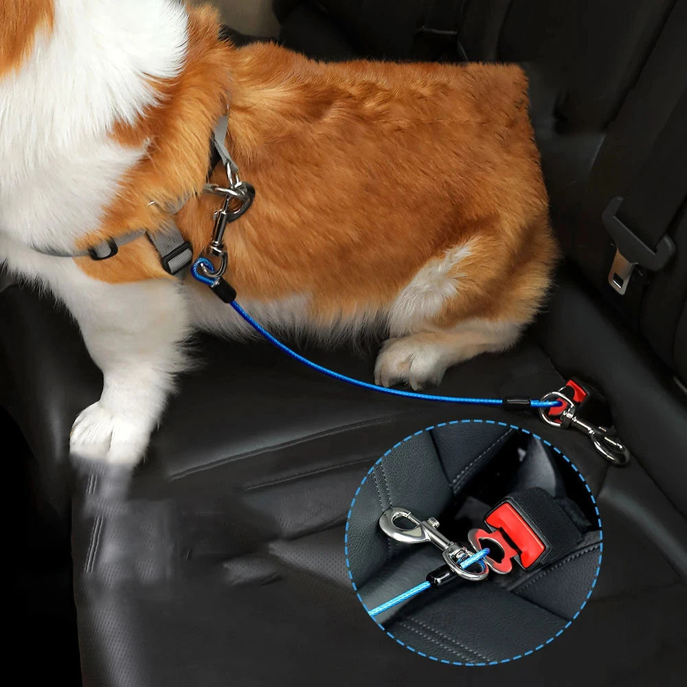 chien brun et blanc attaché dans une voiture par sa ceinture de sécurité bleu. Le chien est assis sur le siège arrière de la voiture de couleur noir. Image produit Boutiquechien