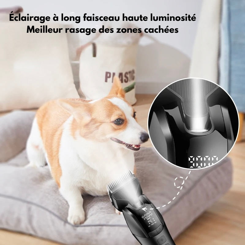 tondeuse pour chien avec lampe avec un petit chien brun et blanc. Image produit Boutiquechien