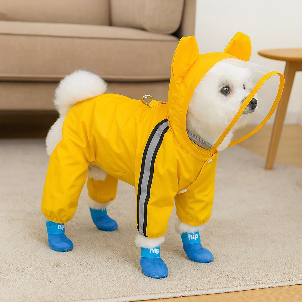 Petit chien de couleur blanc avec un imper de couleur orange dans un salon de couleur claire avec en fond un canapé gris. Image produit Boutiquechien