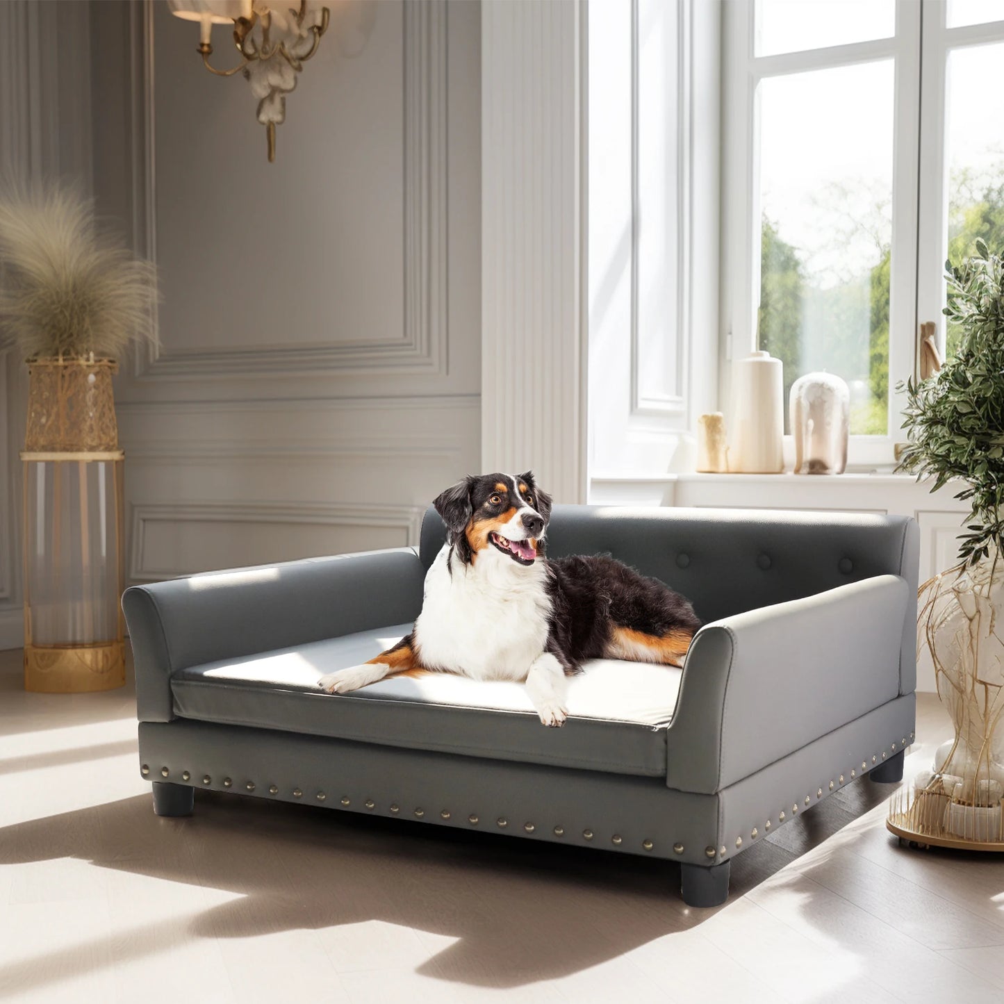 chien blanc et noir couché sur un grand canapé de couleur gris avec en fond un mur claire. Image produit Boutiquechien
