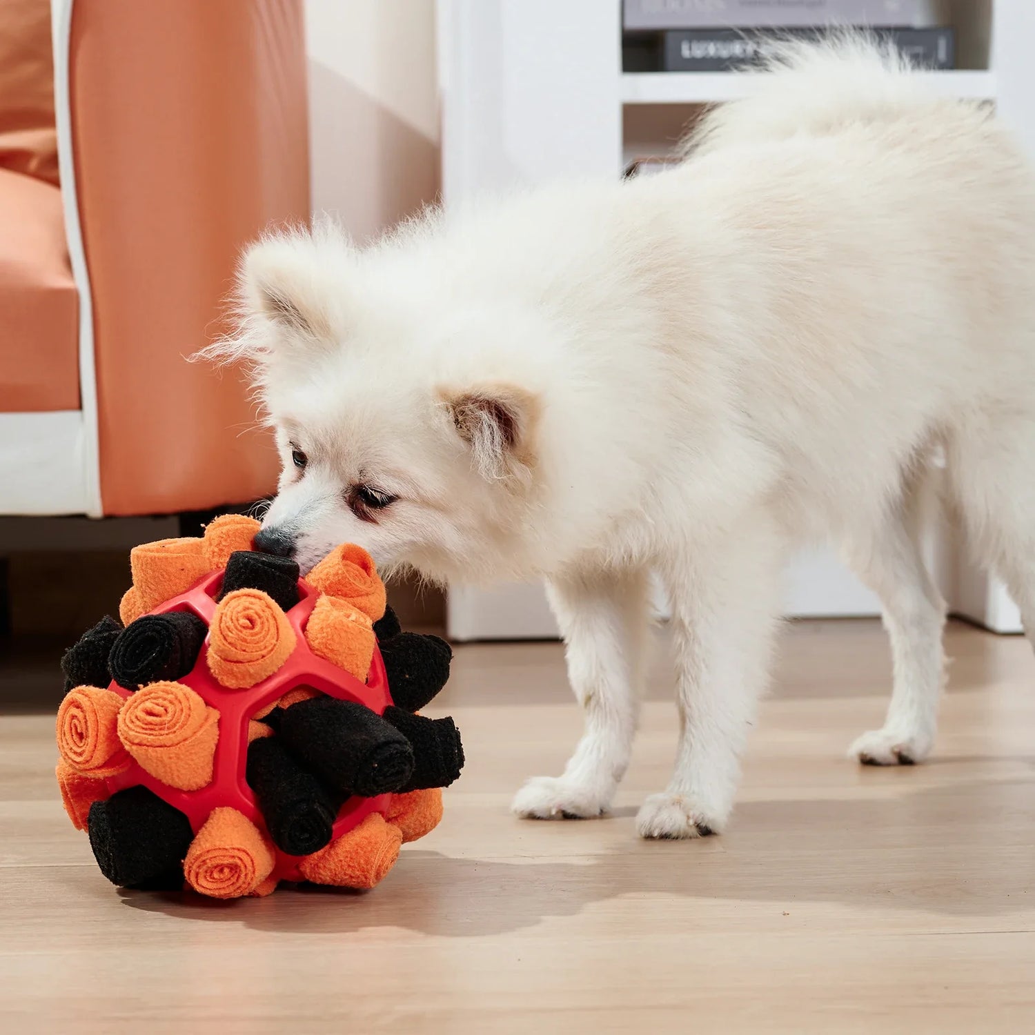 Chien blanc à long poil jouant avec son jouet sensorielle en forme de boule orange et noir. Image produit Boutiquechien