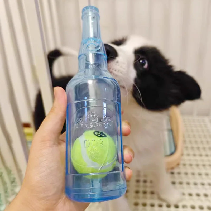 Chiot blanc et noir posé dans un salon de couleur claire. Il joue avec une bouteille de couleur bleu avec une balle de tennis dans une bouteille. Image Produit Boutiquechien