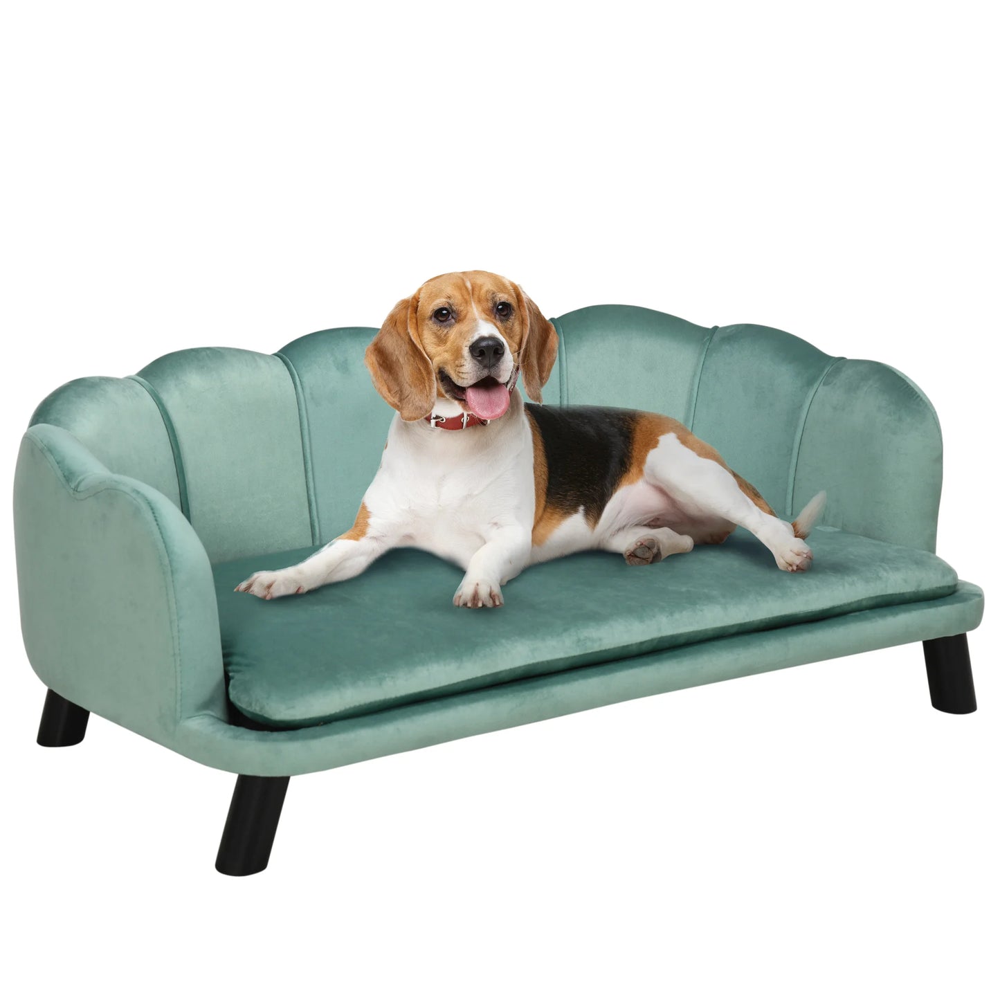 image produit de boutiquechien pour petit chien qui recherche un canapé vert.