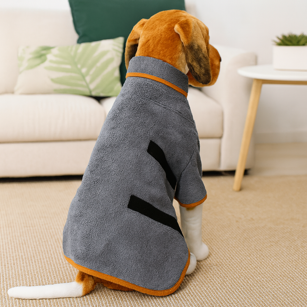 Chie née couleur brun portant un peignoir pour chien de couleur gris et orange. Le chien est assis dans un salon découpeur claire avec en fond un canapé blanc et une table basse blanche. Image produit Boutiquechien