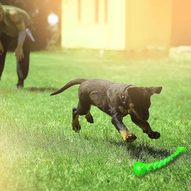Chien jouant avec son os vert résistant. Le petit chien joue fans le jardin. Image produit Boutiquechien