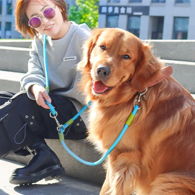 Laisse chien lasso de couleur bleu et vert tenu par sa maîtresse asiatique. En fond il y a la ville. Le chien est de couleur roux de Boutiquechien